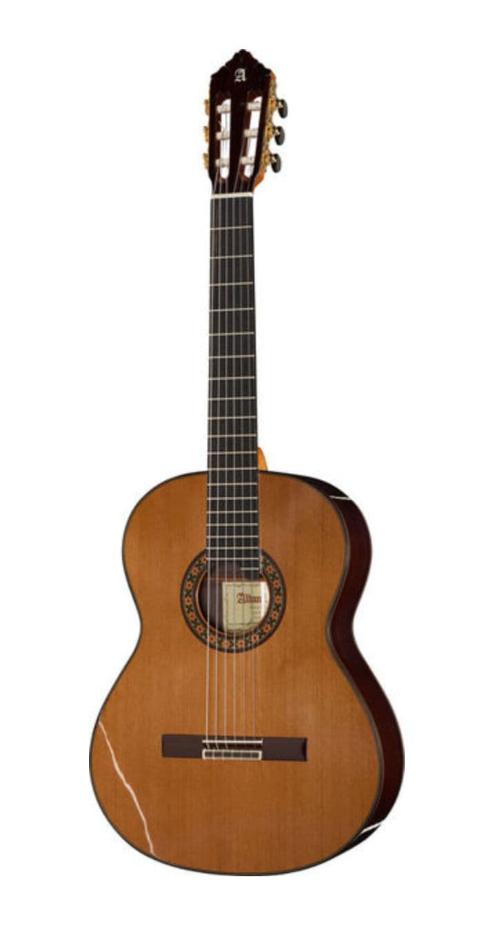 Alonso Quixano Concert Classical Cedar Guitar